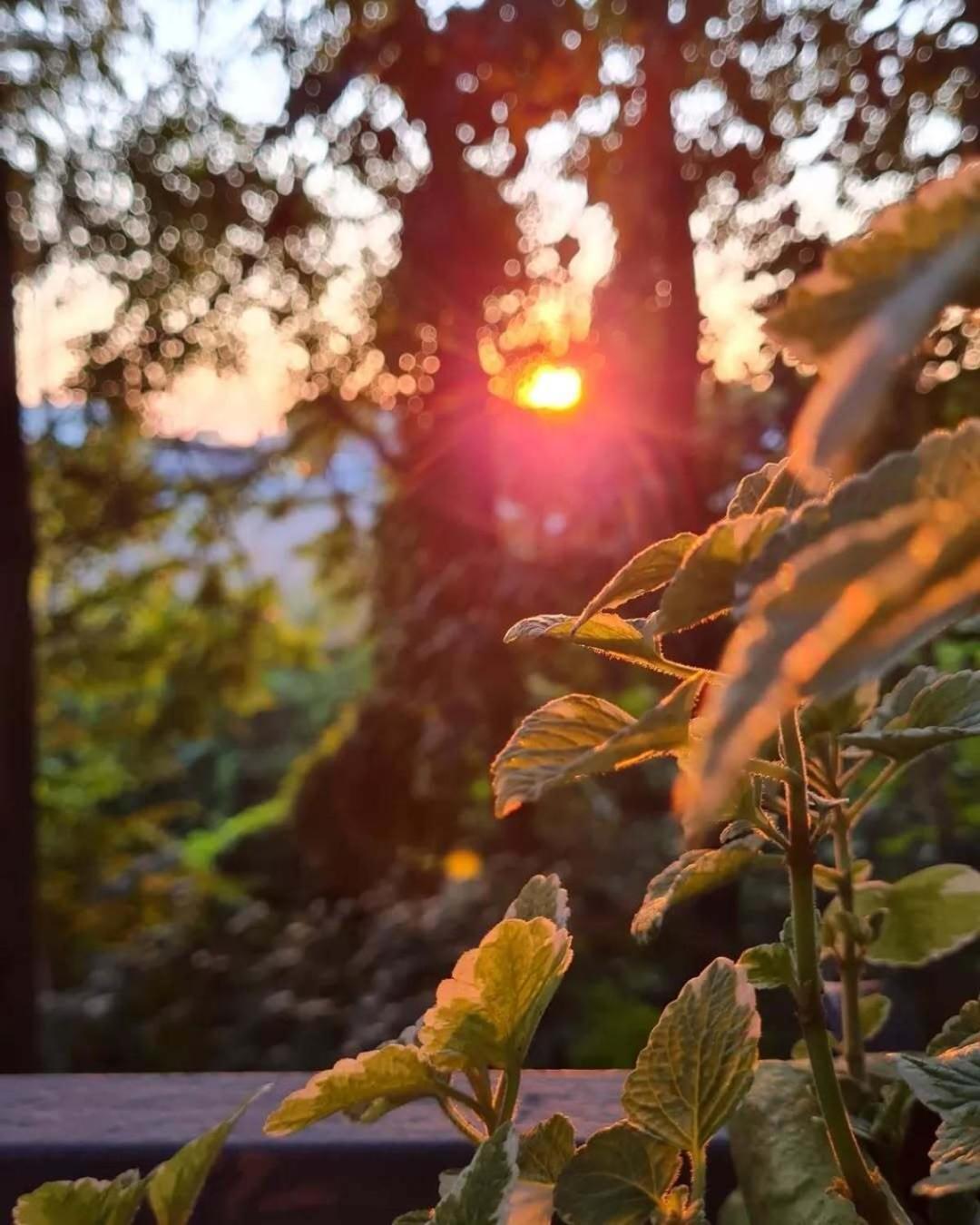 Hotel 4 Venti Curtatone Zewnętrze zdjęcie